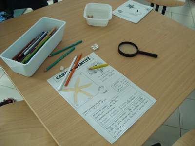 Activités scientifiques