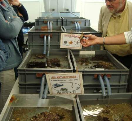 Le centre dispose d'un laboratoire aquacole
