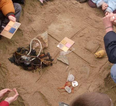 Observations scientifiques sur le terrain