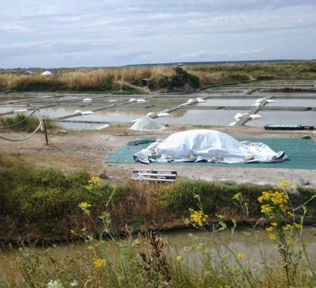 Visite d’une saline en activité